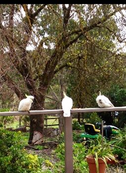 Wonga Park VIC Brisbane 4u