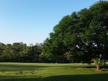 Wine Country Villas - Brisbane Tourism 23
