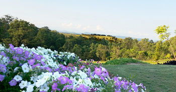 Wine Country Villas - Brisbane Tourism 27