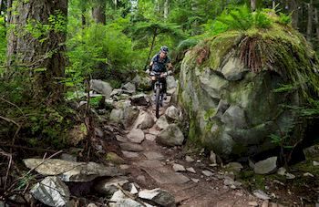 Mountain Element Retreats - Tourism Brisbane 9