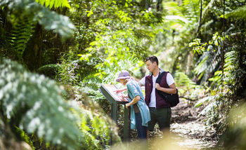 Mountain Element Retreats - Tourism Brisbane 10