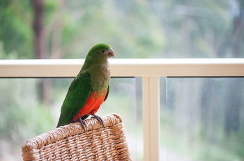 Mountain Element Retreats - Tourism Brisbane 13