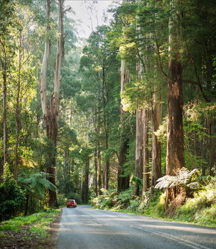 Mountain Element Retreats - Tourism Brisbane 15