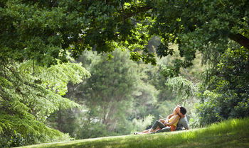 Mountain Element Retreats - Tourism Brisbane 16