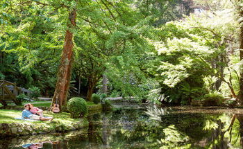 Mountain Element Retreats - Tourism Brisbane 17