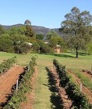 Forrest Hills Ridge - Brisbane Tourism 2