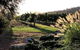 Forrest Hills Ridge - thumb 3