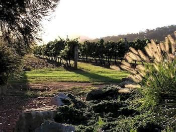 Forrest Hills Ridge - Brisbane Tourism 3