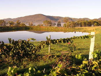 Forrest Hills Ridge - Brisbane Tourism 9