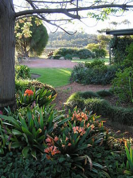 Forrest Hills Ridge - Brisbane Tourism 11