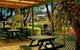 Shelly Beach Holiday Park - thumb 8