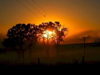 Lochinvar House B&B - Brisbane 4u 2