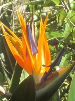 Sunshine Valley Cottages - Tourism Brisbane 1