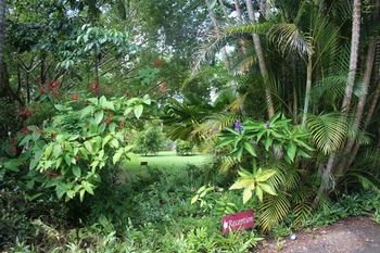 Sunshine Valley Cottages - Tourism Brisbane 8