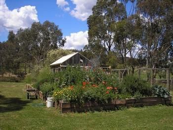 The Burrow At Wombat Bend - Tourism Brisbane 4
