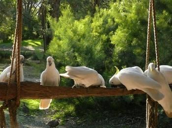 The Burrow At Wombat Bend - Tourism Brisbane 5