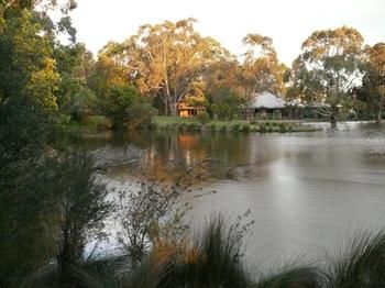 The Burrow At Wombat Bend - Tourism Brisbane 9