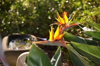 Morpeth Lodge Motel - Tourism Brisbane 3