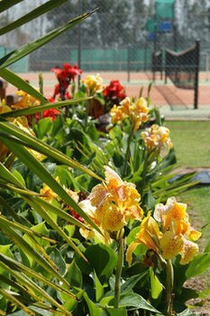 Morpeth Lodge Motel - Tourism Brisbane 11