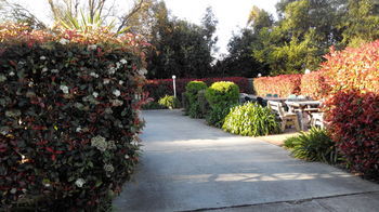 Branxton House Motel, Hunter Valley - Brisbane 4u 13