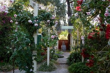 Holly Lane Mews - Brisbane 4u 40