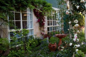 Holly Lane Mews - Brisbane 4u 46