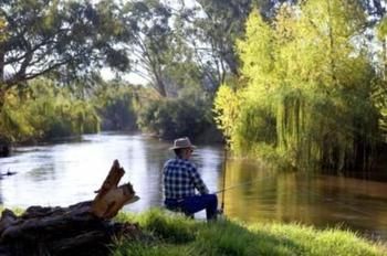 Riverglade Caravan Park - Tourism Brisbane 1