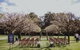 The Convent Hunter Valley - thumb 37