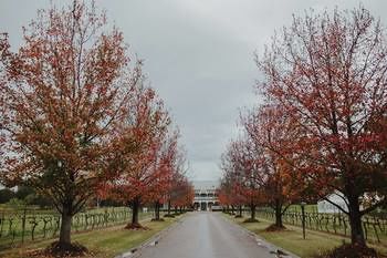 The Convent Hunter Valley - Tourism Brisbane 49