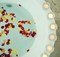 Avoca Valley Bed amp Breakfast - Tourism Brisbane