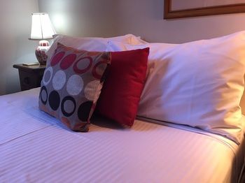 Boronia Lodge Burwood - Tourism Brisbane 39