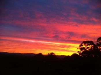 Rothbury Escape - Tourism Brisbane 11