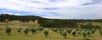 Hunter Homestead - Tourism Brisbane 7