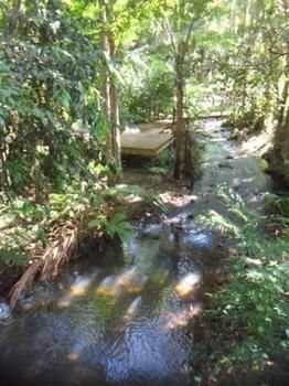 Treetops Accommodation Montville - Brisbane 4u 0