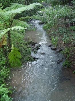 Treetops Accommodation Montville - Brisbane 4u 4