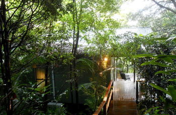 Treetops Accommodation Montville - Brisbane 4u 12
