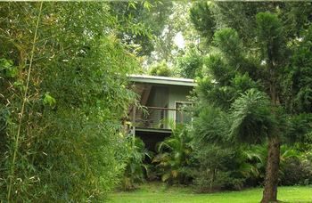 Treetops Accommodation Montville - Brisbane 4u 13