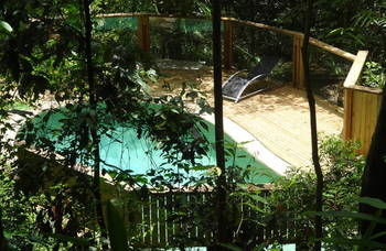 Treetops Accommodation Montville - Brisbane 4u 16
