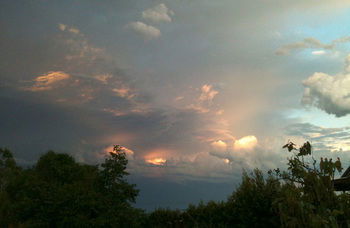 Treetops Accommodation Montville - Brisbane 4u 27