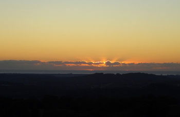 Treetops Accommodation Montville - Brisbane 4u 29
