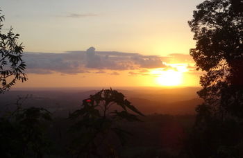 Treetops Accommodation Montville - Brisbane 4u 30