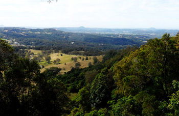 Treetops Accommodation Montville - Brisbane 4u 31