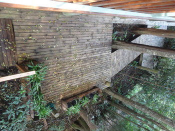 Treetops Accommodation Montville - Brisbane 4u 53