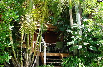 Treetops Accommodation Montville - Brisbane 4u 54