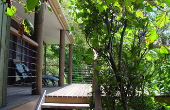 Treetops Accommodation Montville - Brisbane 4u 59