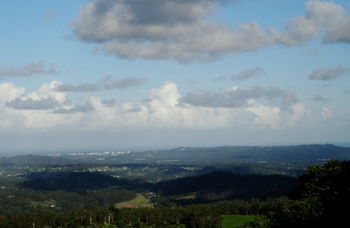 Treetops Accommodation Montville - Brisbane 4u 63
