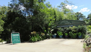 Treetops Accommodation Montville - Brisbane 4u 67