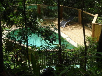 Treetops Accommodation Montville - Brisbane 4u 74