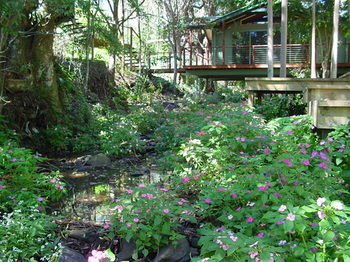 Treetops Accommodation Montville - Brisbane 4u 76