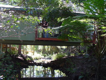 Treetops Accommodation Montville - Brisbane 4u 87